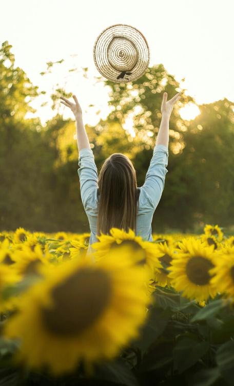 君と青に溺れ君と夏に染まる