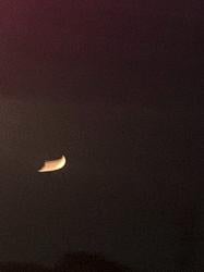 朧月(おぼろづき)