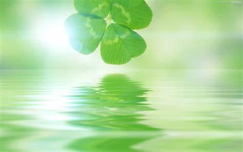 無関心組長はマイペースに恋をした