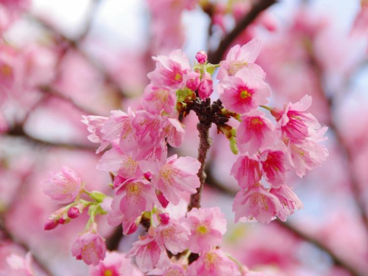 風呂の湯に撃沈