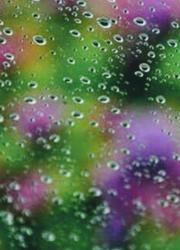 アイイロの雨【中学生日記④】