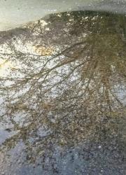 雨あがりの匂い【中学生日記①】