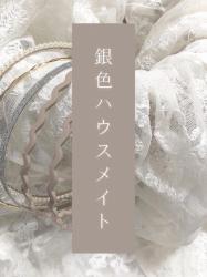銀色ハウスメイト