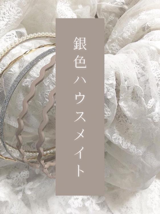 銀色ハウスメイト