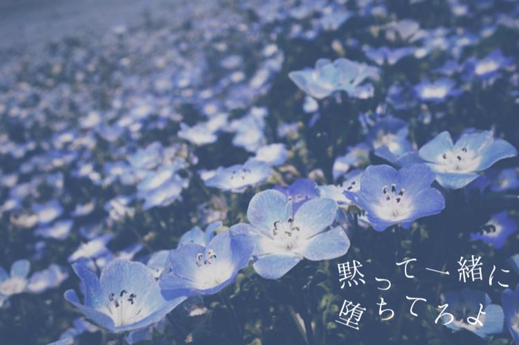 黙って一緒に堕ちてろよ