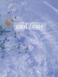 cool/cute