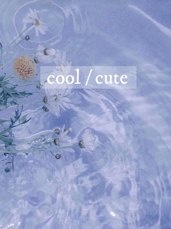 cool/cute