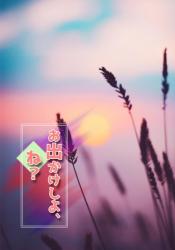 お出かけしよ、ね?