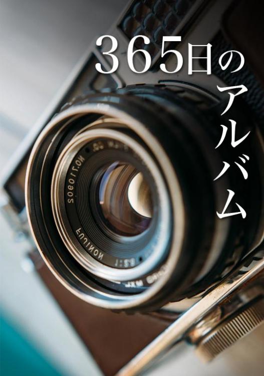 365日のアルバム