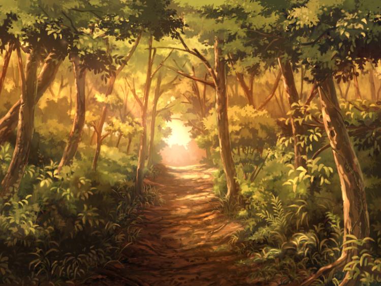 私は森の支配人