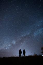 今夜、星が綺麗ですね。