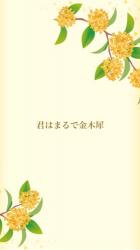 君はまるで金木犀
