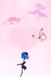 恋する私は臆病者 !?