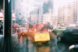 でも、さわりたかったよ