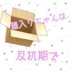 箱入りちゃんは反抗期で