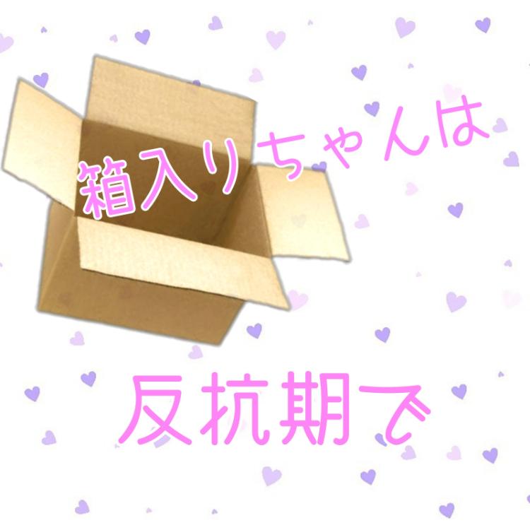 箱入りちゃんは反抗期で