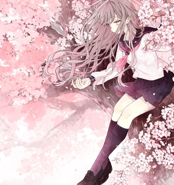 君の嘘は美しかった