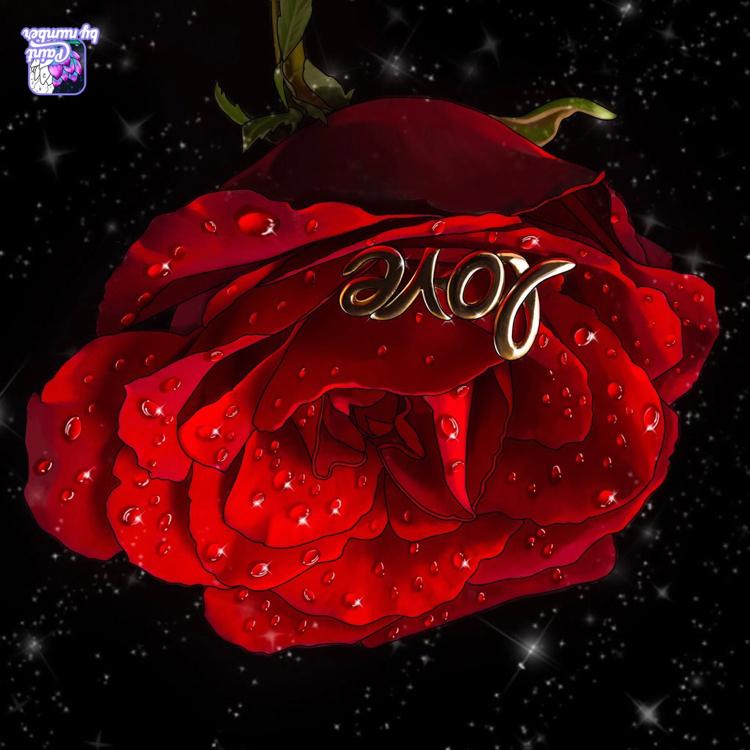 転校生は伝説の！！闇とたたかう少女