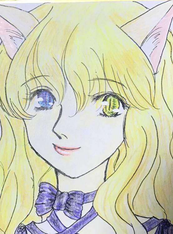 異世界猫。王子様から婚約破棄されましたが、実は聖女だったのでまったりもふもふ優しく騎士様に愛されます