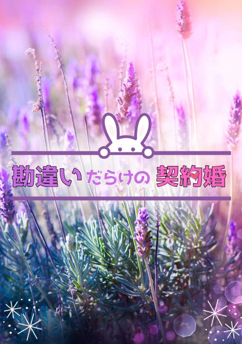 勘違いだらけの契約婚