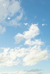 転生公女はバルコニー菜園に勤しむ