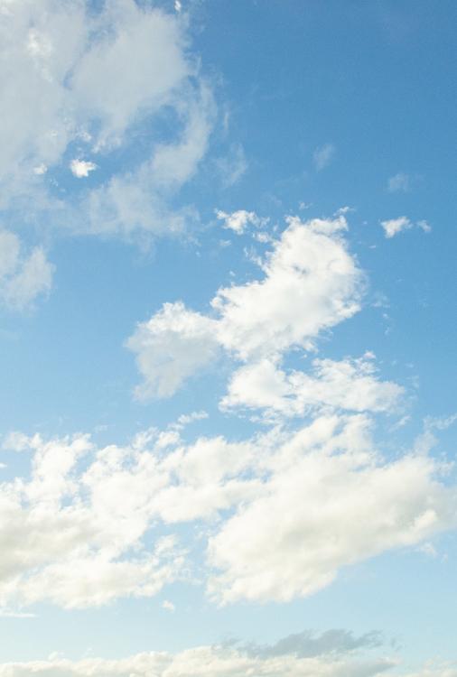 転生公女はバルコニー菜園に勤しむ