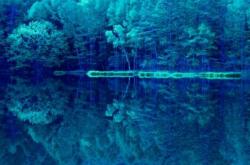 『ただ、君だけを愛したくて』