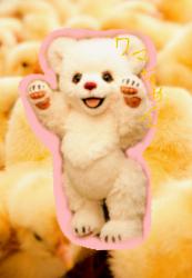 お星さあま、きぃらきぃら