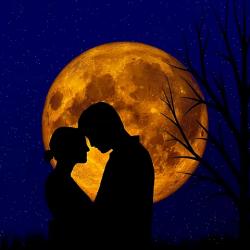 満月の夜に2人は恋をする