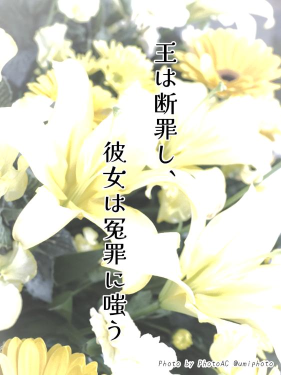 王は断罪し、彼女は冤罪に嗤う