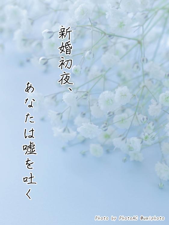 新婚初夜、あなたは嘘を吐く