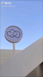 仲良しフラワー組🌷