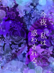 今夜、私は惑わされる。