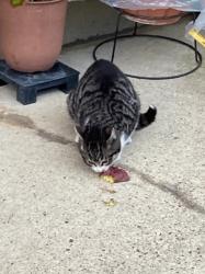 日曜日の過ごし方