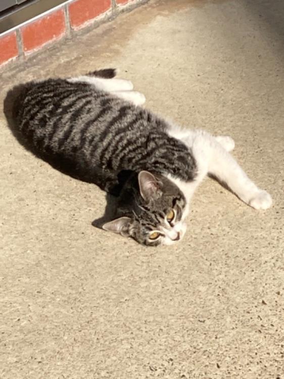 芸能活動休止の2021