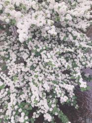 あべの結華梨の五月