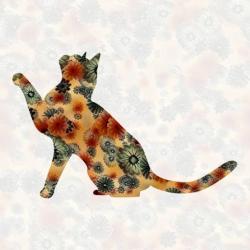 麻空さんの日常