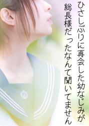 ひさしぶりに再会した幼なじみが総長様だったなんて聞いてません