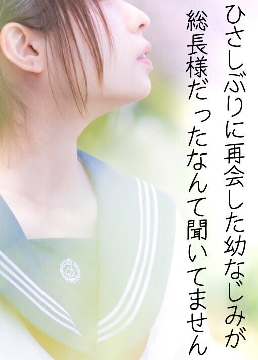 ひさしぶりに再会した幼なじみが総長様だったなんて聞いてません