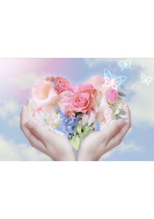 元書店員ですが、転生したら貴族令嬢になっていました!