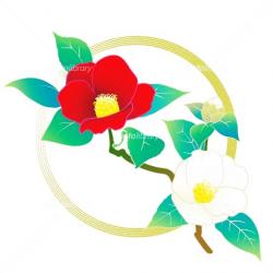 綺麗な愛のかたち