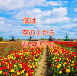 僕は、空の上から君を見守る
