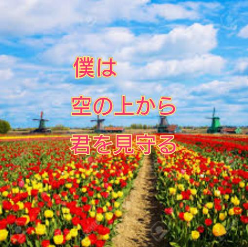 僕は、空の上から君を見守る
