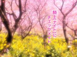 騎士(ナイト)に チェックメイト