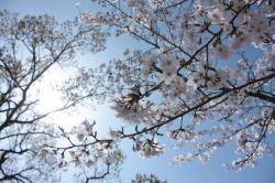 ここにいるよ。