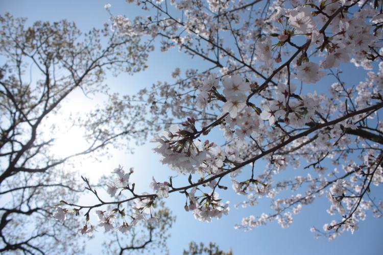 ここにいるよ。