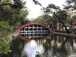 詩逢のほのぼの短歌集〜