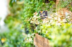 Diary ~あなたに会いたい~