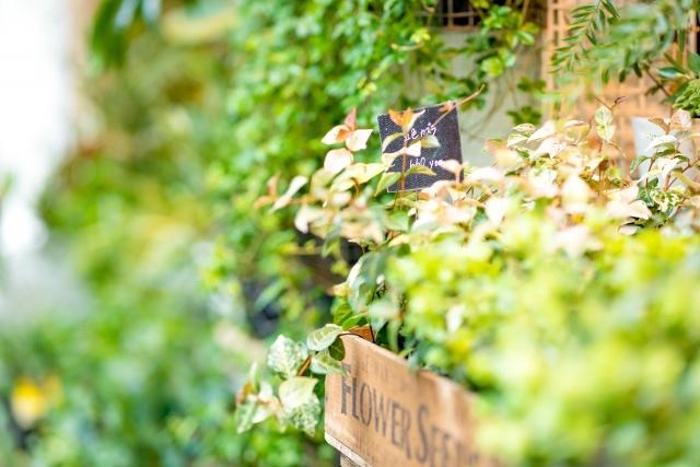 Diary ~あなたに会いたい~