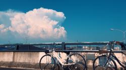 白いシャツの少年 【恋に焦がれて鳴く蝉よりも・番外編】